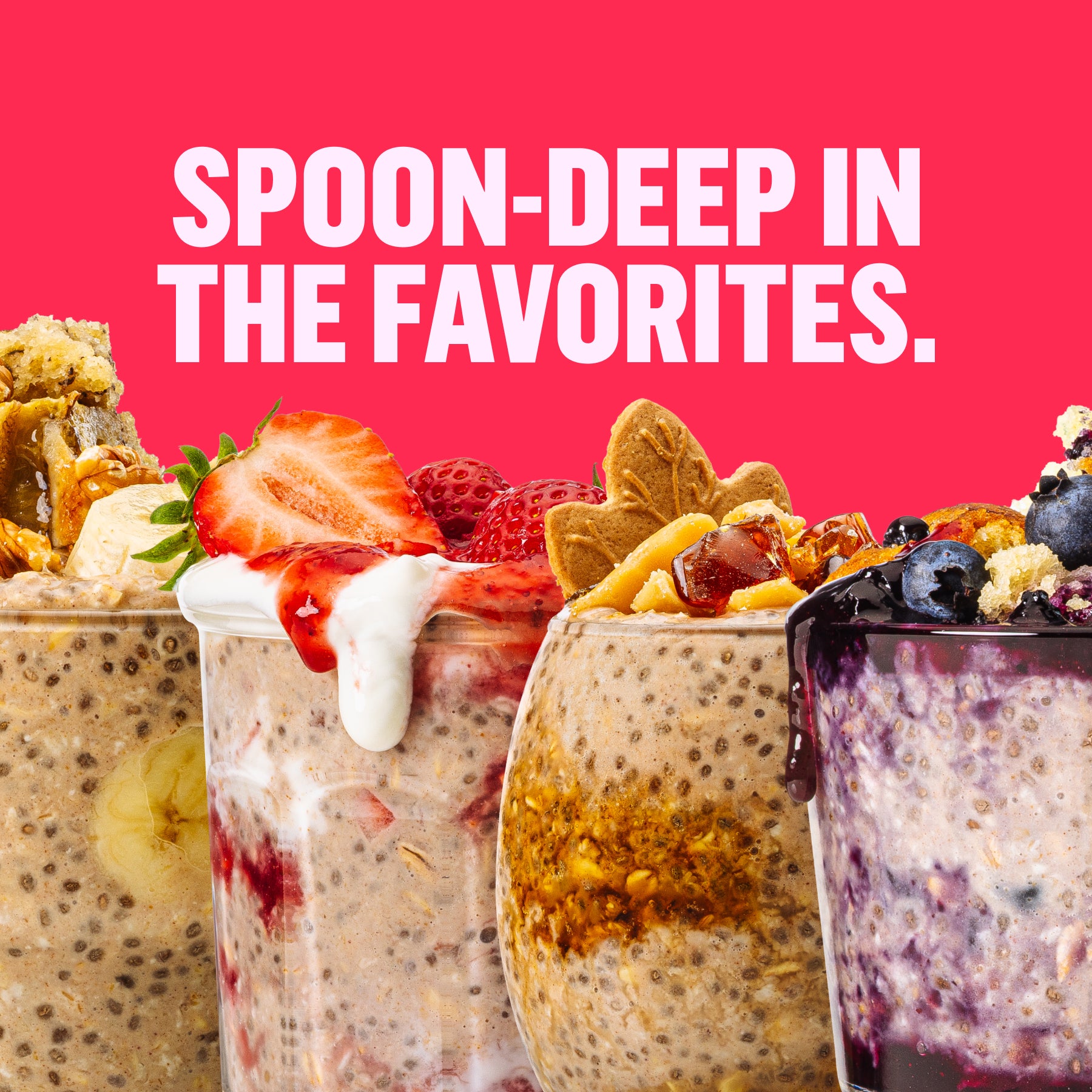 Chia Overnight Mix - Variety Pack (16)